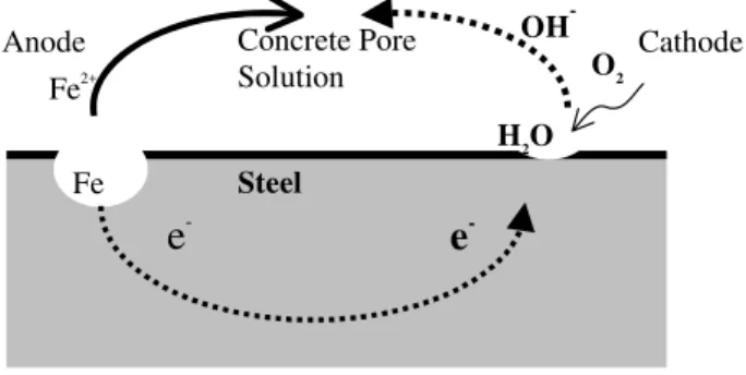 Figure 2. Steel corrosion process and current flow in concrete 