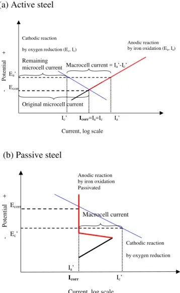 Figure 3. Schematic of macrocell and microcell corrosion, (a) active steel; (b) passive steel 