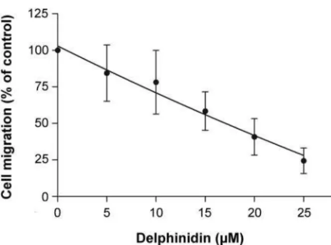 Fig. 5. Effect of delphinidin on phosphorylation of ERK-1/2 induced by VEGF in HUVEC. (A) Quiescent HUVECs were incubated in serum-free medium in the presence or in the absence of delphinidin or Dp 3-glu at 25 mM or (B) with delphinidin at the indicated co