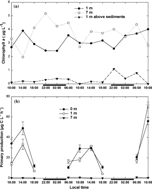 Figure 2. Spatio-temporal variation of (a) chlorophyll a concentration and (b) primary production in the Sep Reservoir during a 48-h survey, 23–25 July 1997
