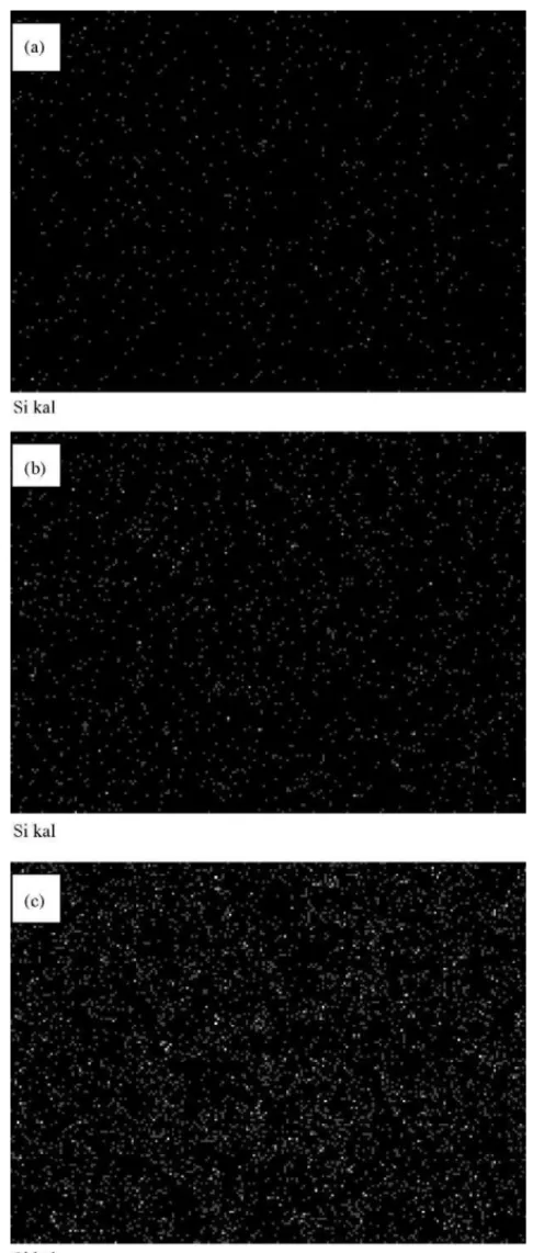 Fig. 2 showed the SEM-EDS silicon mapping on the pris- pris-tine sPPEK membrane and its nanocomposites