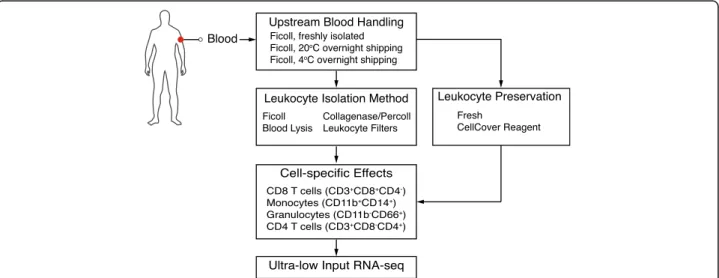 Fig. 1 Simulated sample handling methods. Diagram outlines methods used to simulate various sample handling techniques representative of those encountered in clinical immunology, including: blood shipping temperature (20 °C or 4 °C), peripheral blood monon