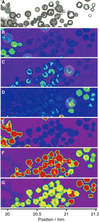 Figure 5. Raman mapping of sample no. 1. (A) Video image (from left to right: 0100000, 1010000, 1000000), and Raman maps based on intensities at 767 (B), 825 (C), and 785 cm -1 (D)