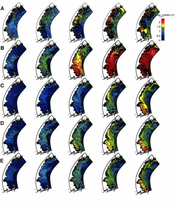 Figure 13: Surface A. fundyense observations and model output for each of the RMRP surveys