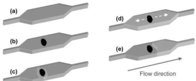 Fig. 5a shows the fluorescent image obtained for multiple reactions performed in parallel on a single chip