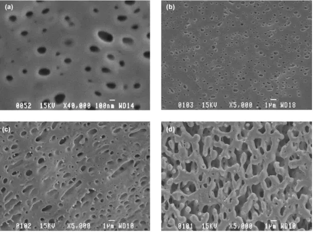 Fig. 4. SEM micrographs of the dispersed EPDM phase after PP matrix dissolution. SEM micrograph (a) 5 EP 1/95 PP 2, (b) 5 EP 1/95 PP 1, (c) 30 EP 1/70 PP 2, and (d) 30 EP 1/70 PP 1.