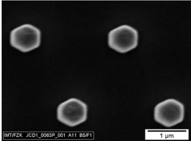 Fig. 19 Detail of a nanostructured nickel shim mold. The mold is fabricated by E-beam lithography and electroplating