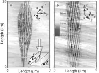 FIG. 1. Atomic force microscope images of chemically etched (4 min in 1% HF) laser-modified regions