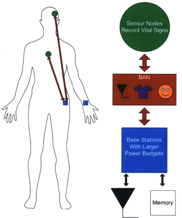 Figure  1-1:  Body  area  network diagram.  There  are  various  ways to  implement  body  area networks  including eTextiles,  radio,  and BCC.