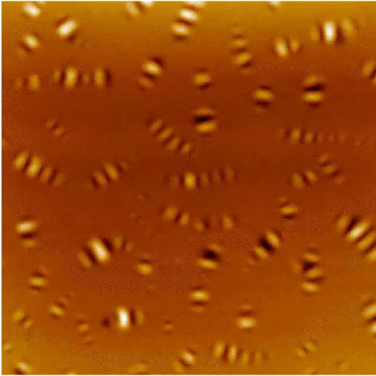 Fig. 1. Topographic AFM image of bitumen AAK (15 µm  x 15 µm).