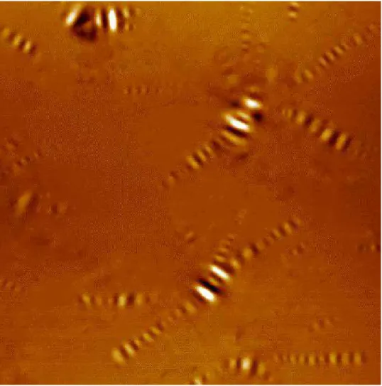 Fig. 4. Topographic AFM image of bitumen AAF (15 µm  x 15 µm).