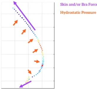 Figure 5. Diagram of forces considered in FDM model.