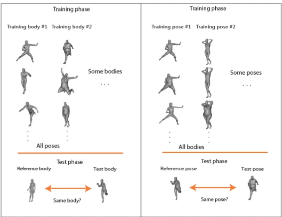 Figure 1: Left: Example images for the pose-invariant body-recognition task. The images appearing in the training phase were used as templates (in the sense of [16] and section 2.3 below)
