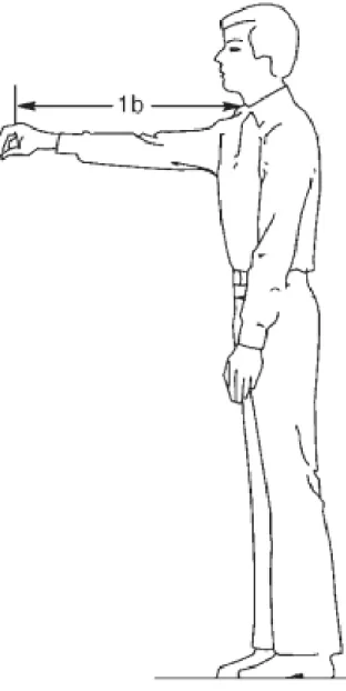 Figure 2-3: The distance denoted by 1b is known as the forward functional reach from the acromial process to the pinch