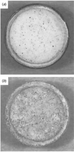 Fig. 4 Photographs of the coated test specimens following 360 h of exposure to sulfur-containing salts at 900° C: „ a … ZrO 2 – 8 wt