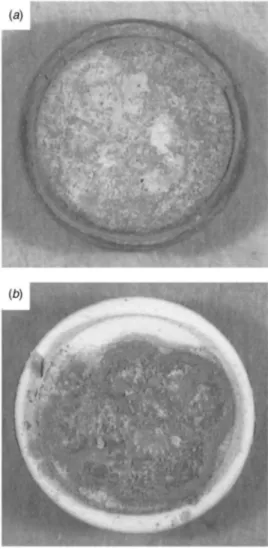 Fig. 8 Appearance of the coatings following exposure to a combination of sulfur- and vanadium-containing compounds at 900° C: „ a … YSZ after 60 h and „ b … La 2 Zr 2 O 7 after 20 h.