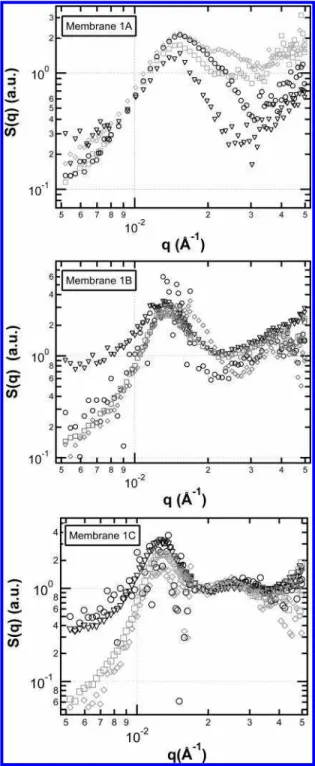Table 2. Parameters Obtained by Fitting Eqs 3 and 4 to the Normalized Spectra for Membranes 1A, 1B, and 1C a sample t (Å) s (Å) Φ p (%) D Bragg (Å) t PVDF (Å)