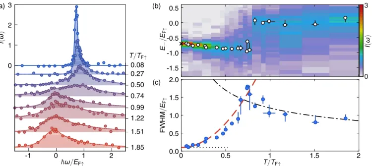 FIG. 1. (a) Thermal evolution of the minority rf spectra. The impurity concentration is n ↓ =n ↑ ¼ 0 