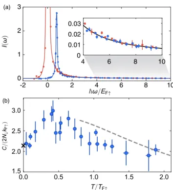 FIG. 2. Contact of the spin-imbalanced Fermi gas. (a) Typical rf spectra of the spin minority (blue circles) and majority (red squares)