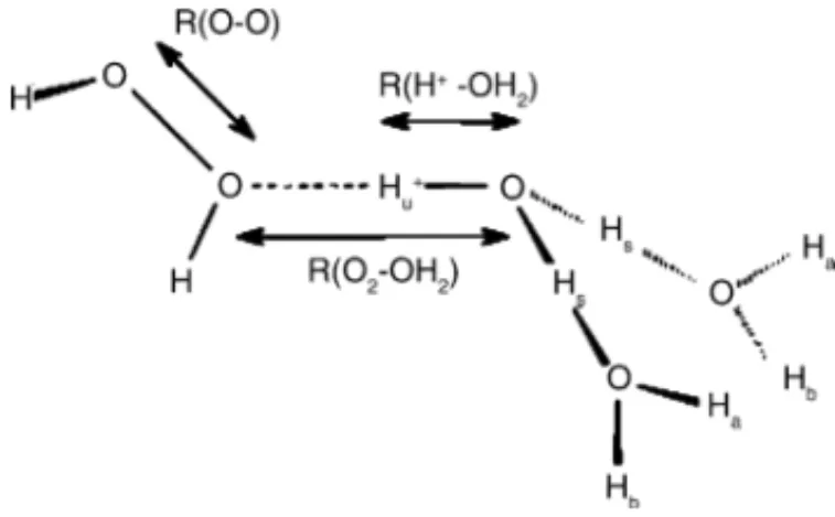 Fig. 3. Structure of the reaction complex and definition of variables opti- opti-mized