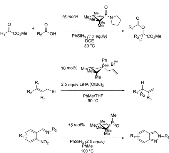 Figure  1.19.  Catalytic  reactivity  of  the  phosphacyclic  molecules  with  strained phosphetane  structures