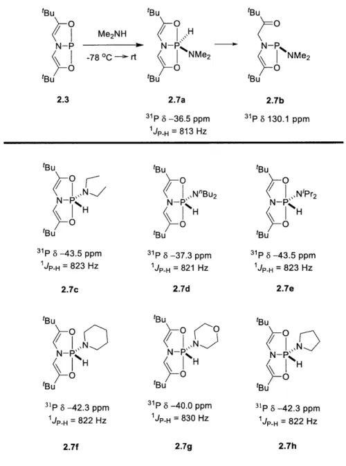 Figure  2.6.  N-H  oxidative  addition  of  secondary  amines  to phosphine  2.3  and  the  resulting  phosphorane  adducts
