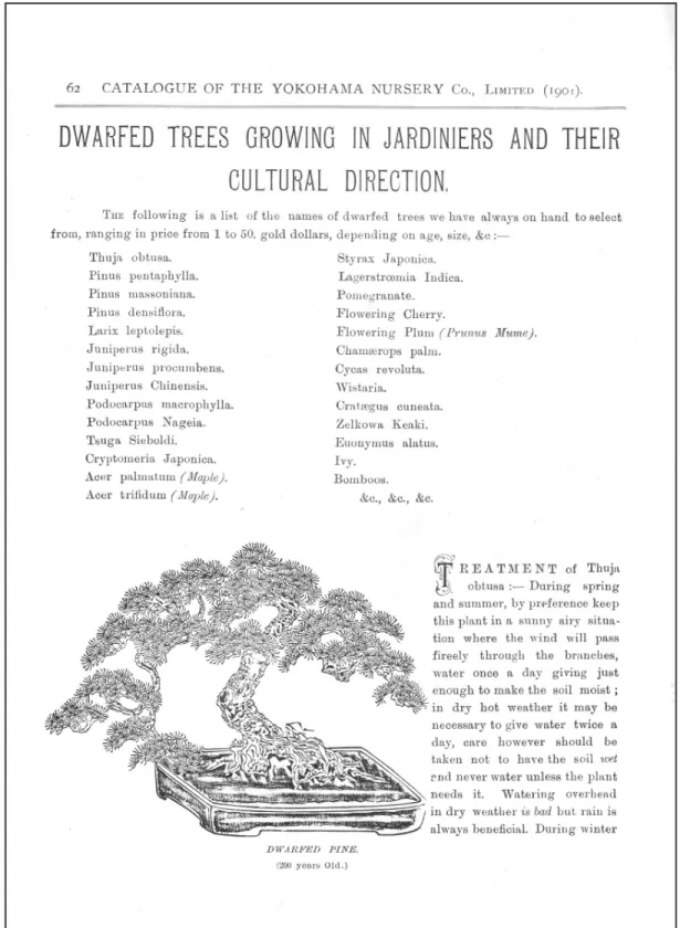 Fig. 1.12  “Dwarfed Trees Growing in Jardiniers and their Cultural Directions.” From Descriptive Cata- Cata-logue of  the Yokohama Nursery Company, 1901, p