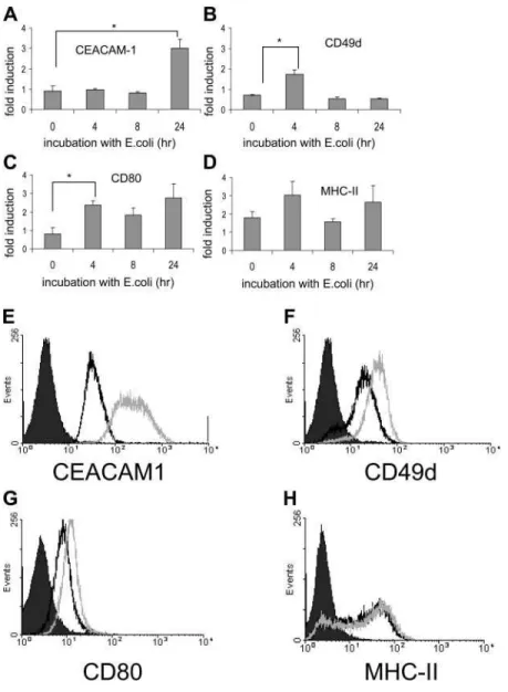 Fig. 7. Incubation with E. coli modifies huMC surface mole- mole-cule expression. CEACAM1 (A), CD49d (B), CD80 (C), and MHC-II (D) mRNA expression was assessed by microarray analysis