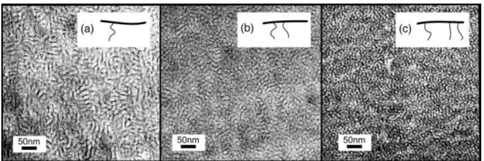 Figure 5. TEM images of lead-stained comb-shaped copolymer membranes displaying increasing side-chain content: a) 1, b) 2, and c) 3.