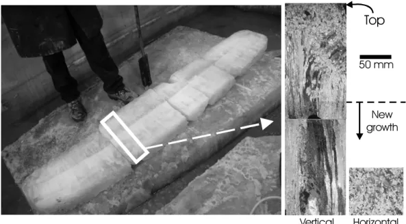 Figure 4: Cross-section of the ice block with vertical and horizontal (bottom  surface) thin sections