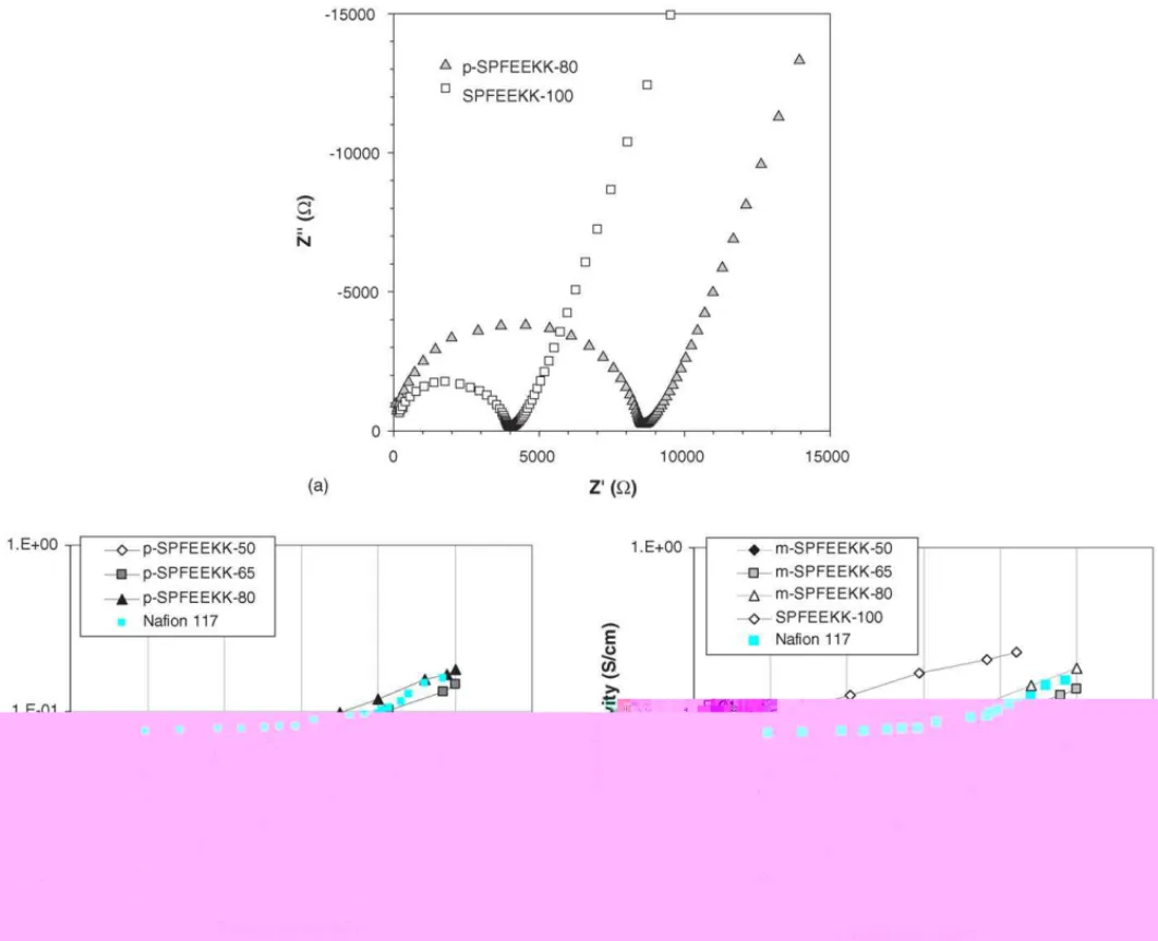 Fig. 6. (a) Complex impedance plots for the samples of p-SPFEEKK-80 and SPFEEKK-100. In the field of the plot the response is shown for frequency range of 1–10 7 Hz