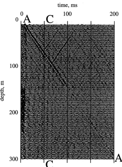 Figure  2-6:  Electrical  signals  recorded  using  electrode  pairs  separated  by  0.5m