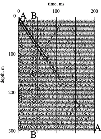 Figure  2-7:  Electrical  signals  recorded  using  electrode  pairs  separated  by  1.0m