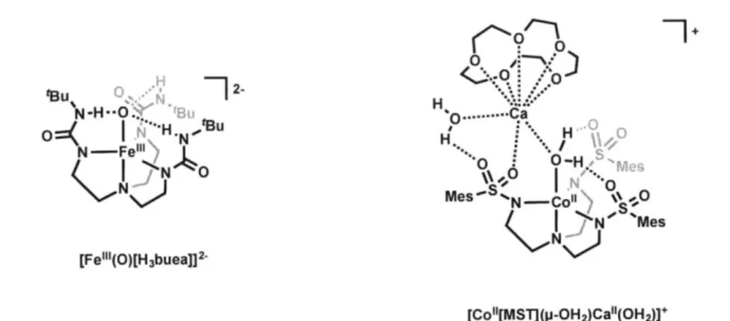 Figure 1.1  Metal  complexes  supported  by hydrogen-bond  donor (left) and acceptor  (right) ligands  reported  by  Borovik.