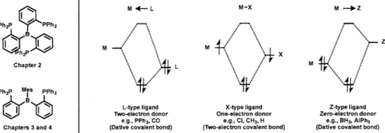 Figure 1.3  (left) Bis(phosphine)borane  and tris(phosphine)borane  ligands employed  in this dissertation