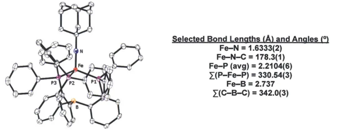 Figure  2.6  Solid-state  structure  of 2.4.  Thermal  ellipsoids  are drawn  at  40% probability.