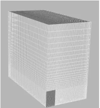 Figure 7: Hexahedral structured grid used for  the simulations 