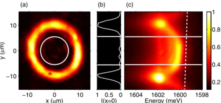 FIG. 1. (a) Reflection of the excitation beam from the sample surface. The white circle indicates the region of the sample that is observed in photoluminescence (PL) imaging measurements after spatial filtering