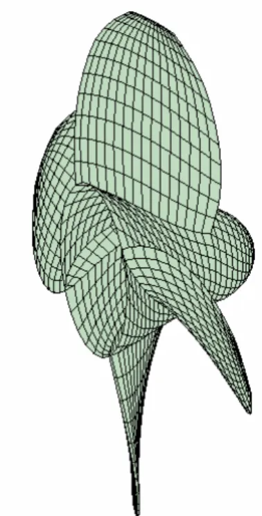 Figure 2. Propeller hidden-line mesh view 
