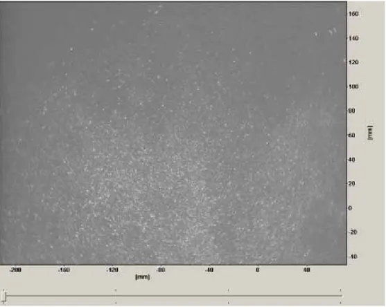 Figure 19 shows a particle image taken at 0.5 m/s with the laser 1400mm behind the  seeding rake