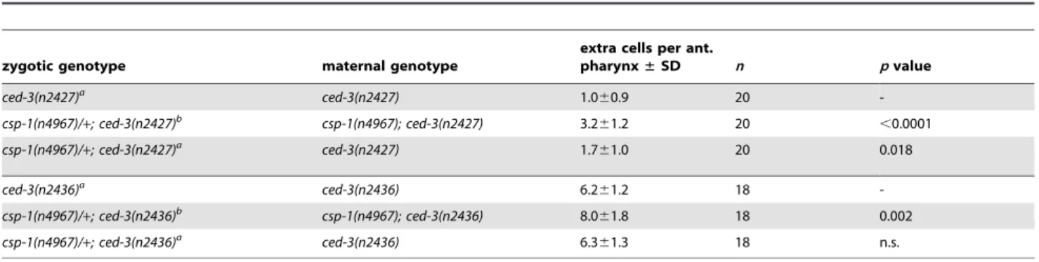 Table 4. Cell deaths occur in the absence of all C. elegans caspase genes.