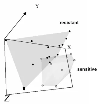 Fig. 2. The 2 classes are wrapped by convex hulls in this static virtual reality representation of 10 attributes from experiment 227 