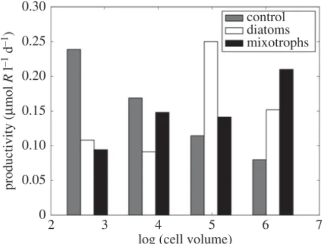 Figure 5. Total system productivity ( primary and secondary) as a function of size class in the model at the highest resource supply rate shown in figure 4.