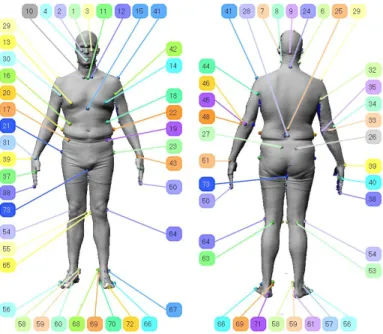 Figure 1. Anthropometric landmarks used in the CAESAR project: the anthropometric nomenclature of these landmarks is given in Table 1.