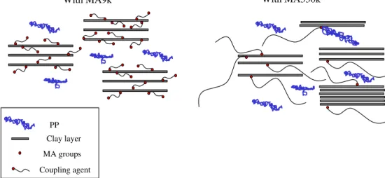 Fig. 7. Scheme of the clay intercalation process with the two MA coupling agents.
