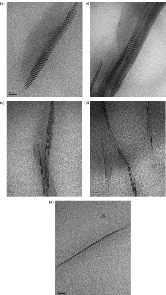Fig. 4. TEM micrographs of PP/15A/MA9k: (a) and (b); and PP/15A/MA330k: (c), (d) and (e) and magnification of 500,000 ! .