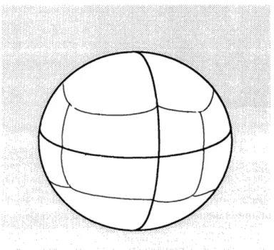 Figure  1.3  Discretization  of  the  surface.