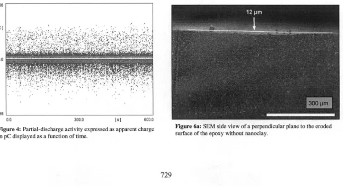 Figure 6a: SEM side view of a perpendicular plane to the eroded surface of the epoxy without nanoclay.