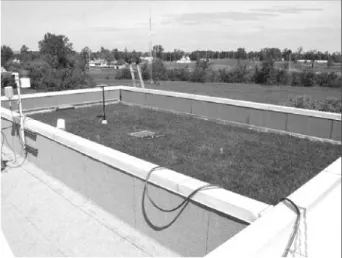 Figure 1. An extensive garden roof system (150-mm growing medium planted with grasses) on the NRC-IRC Field Roofing Facility in Ottawa