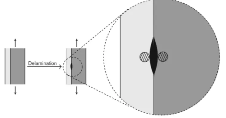 Fig. 12.   Stress concentrations around a zone of delamination.
